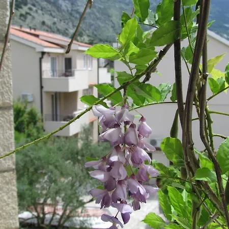 Apartmani Kovacevic Kotor Room photo